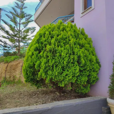 Colourful * アルゴストリオン